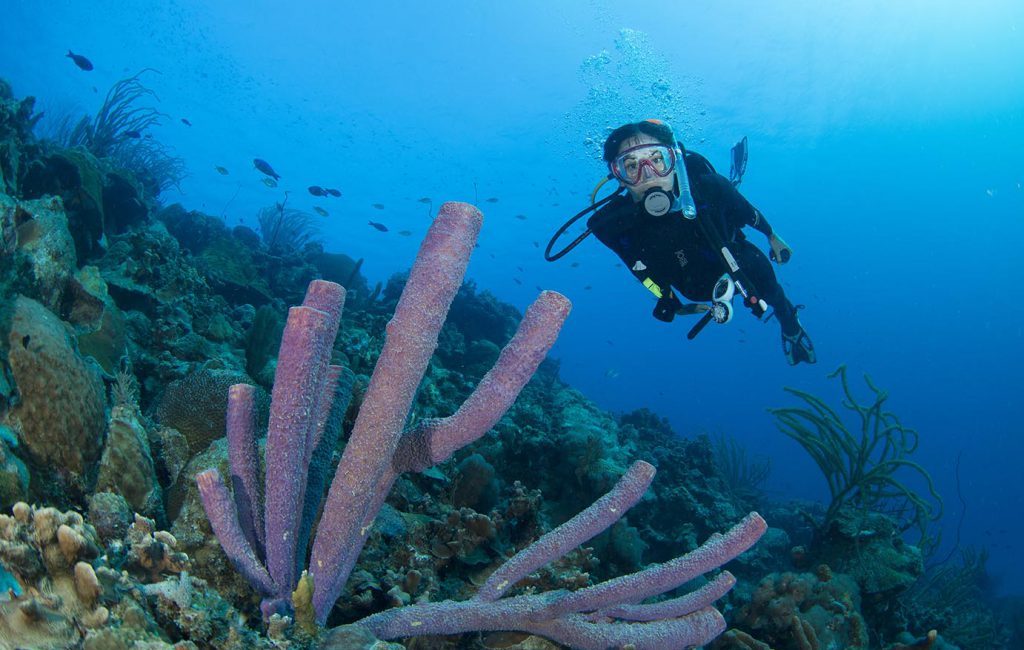 Der Advanced Open Water Diver-Kurs: 5 Tauchgänge zur Verbesserung deiner Fertigkeiten