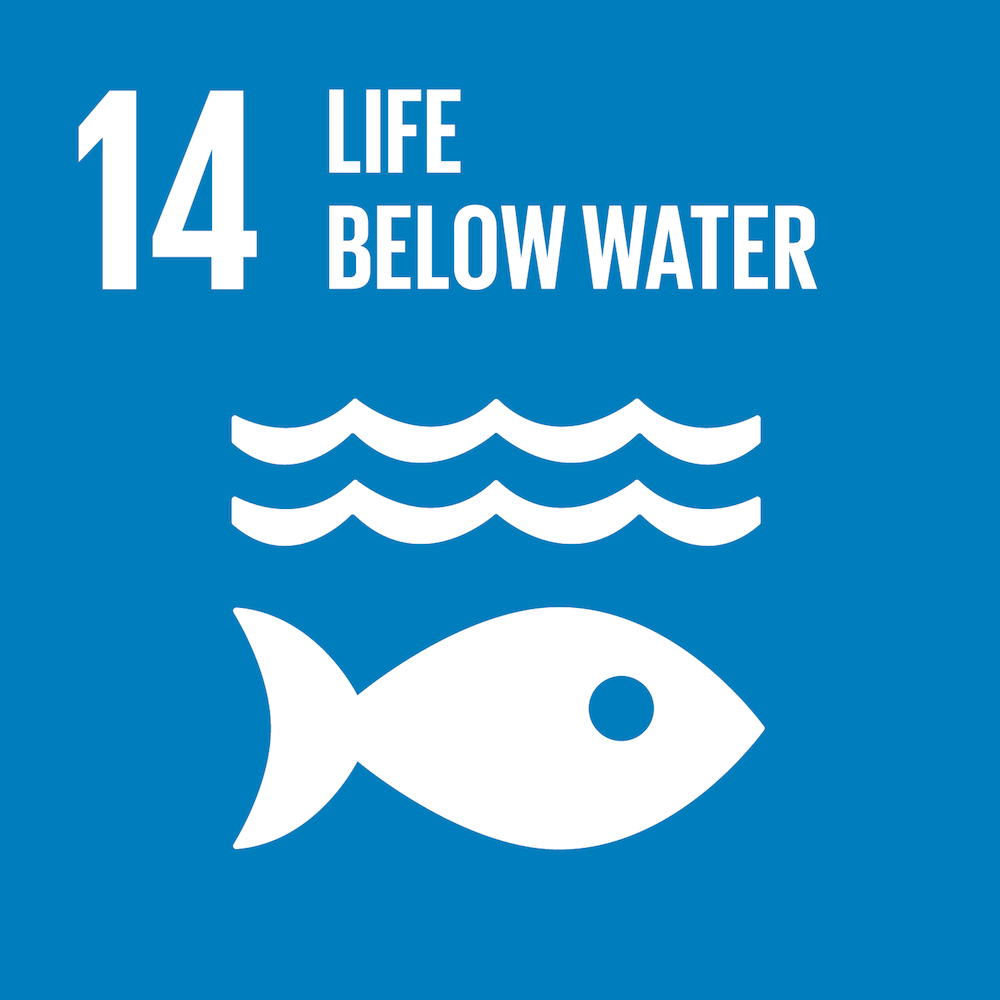 Life Below Water SDG 14