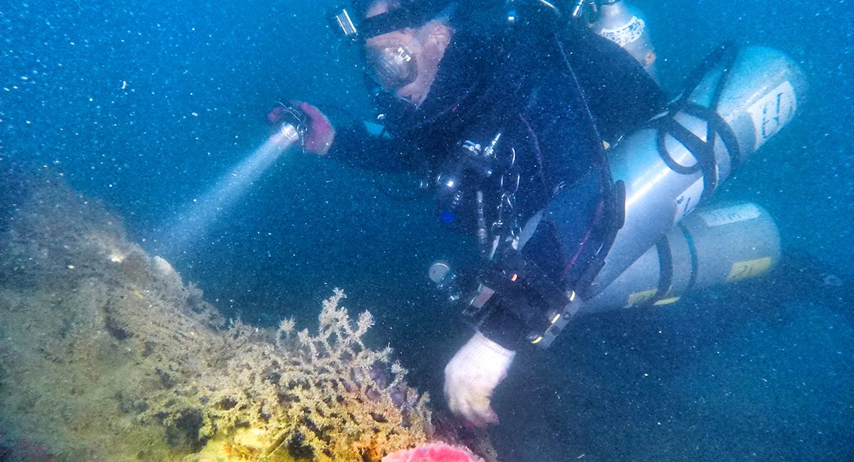 Discovering the Burma Maru
