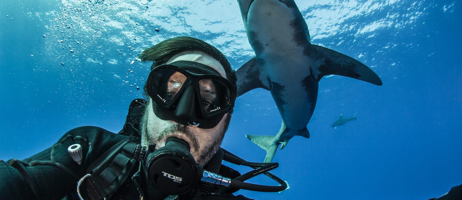 Diving with Blue Marlin and Oceanic Whitetip Sharks