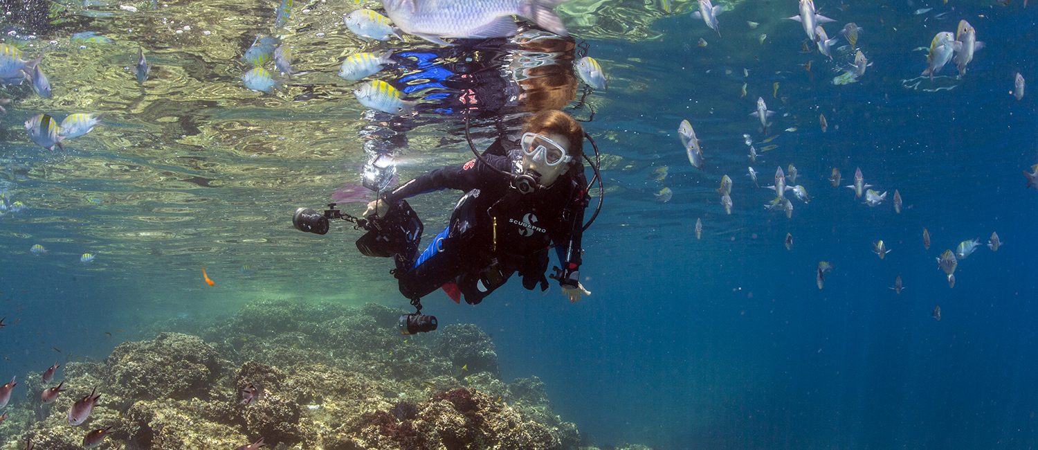 How Can We Protect More of Our Oceans?