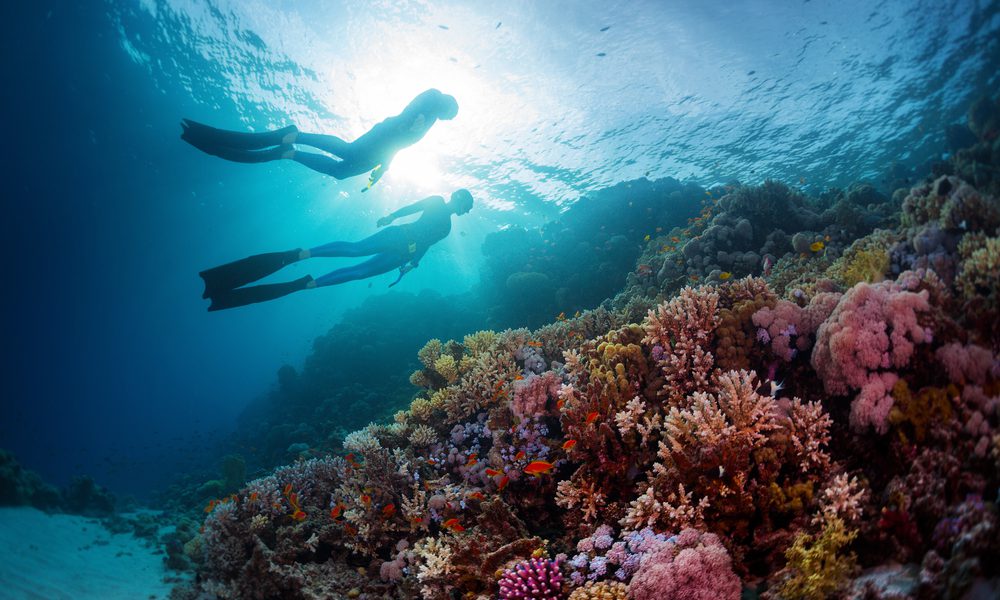 10 Bucket List Freediving Bestemmingen