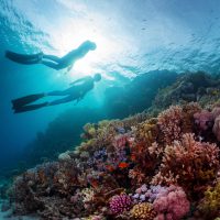 PADI_Freedivers_Shutterstock