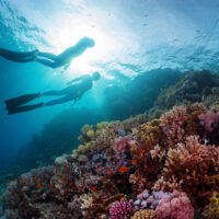 PADI_Freedivers_Shutterstock How long do freedivers hold their breath?