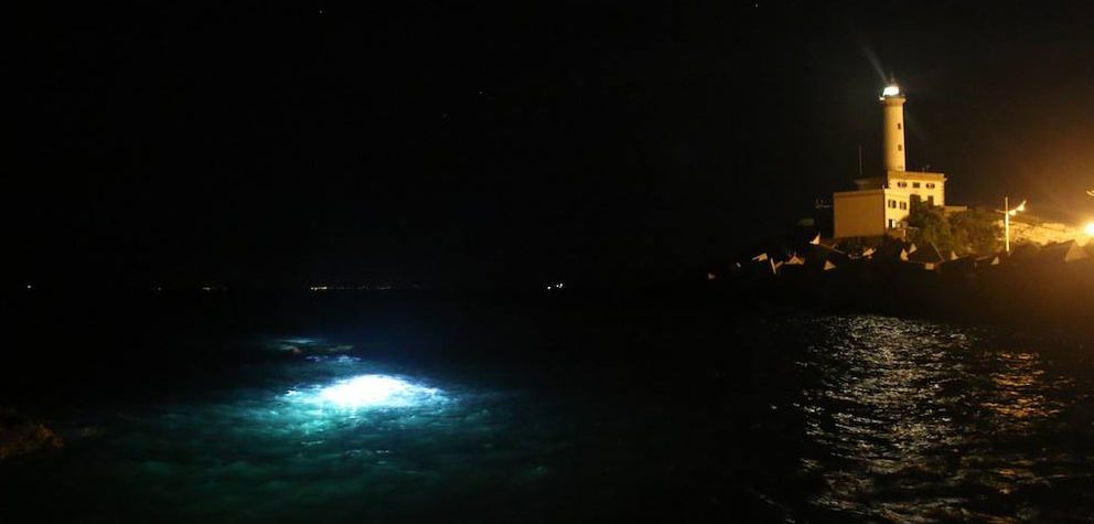 La Vita Notturna Subacquea di Ibiza