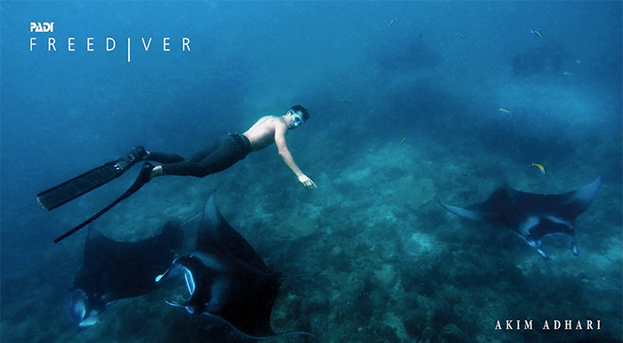 Freediving mit AmbassaDiver Akim Adhari