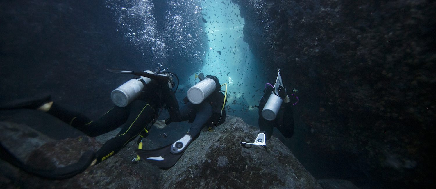 Fünf Vorteile für PADI Dive Instructors in der „realen Welt“