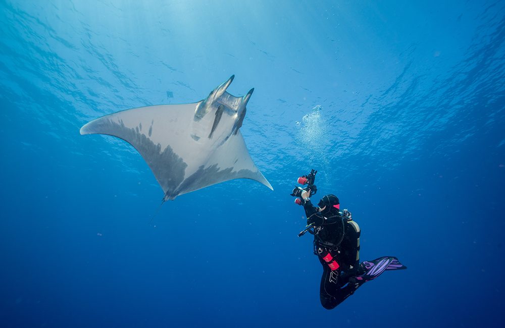 Maya Santangelo: The Evolution & Ecology of an Ocean Ambassador