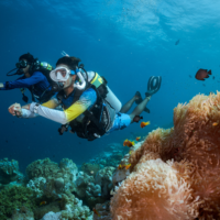 Two scuba divers diving with Nitrox, over a coral reef
