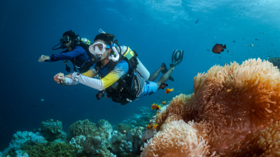 Two scuba divers diving with Nitrox, over a coral reef