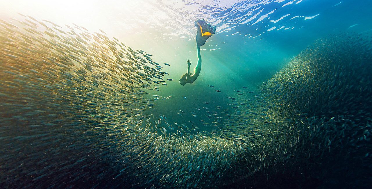 PADI AmbassaDiver Dada Li – PADI Freediver Instructor Trainer, Underwater Choreographer and Mermaid