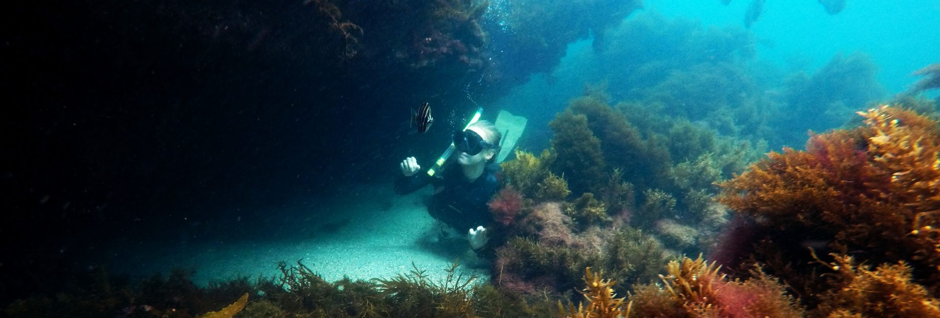 Brinkley Davies: Aussie Native, PADI Divemaster, and Eco Warrior