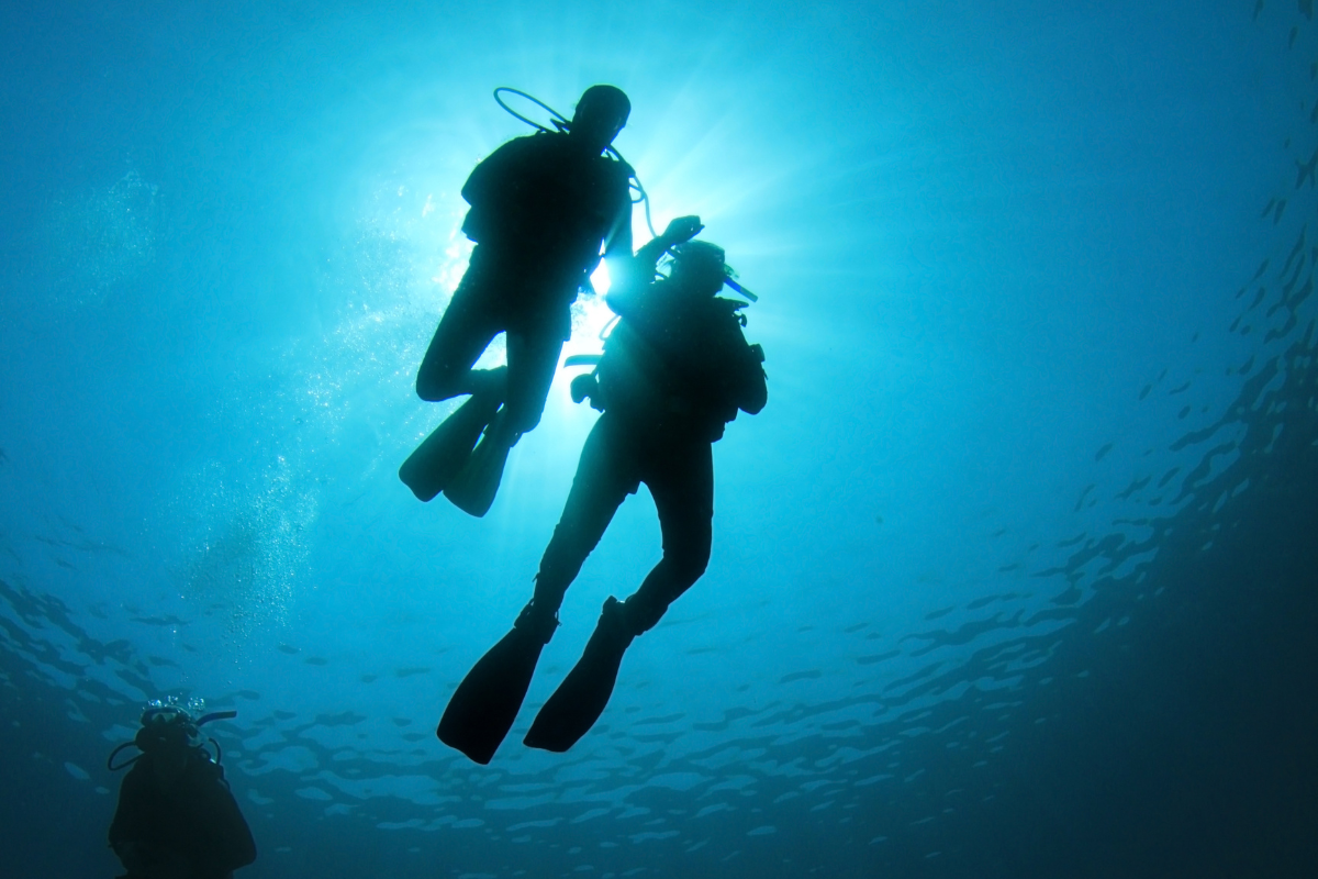 Scuba divers diving together.