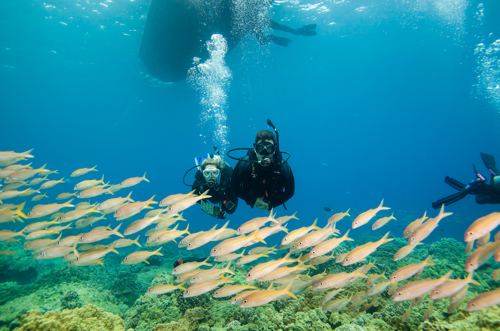 Scuba Diving Hawaii