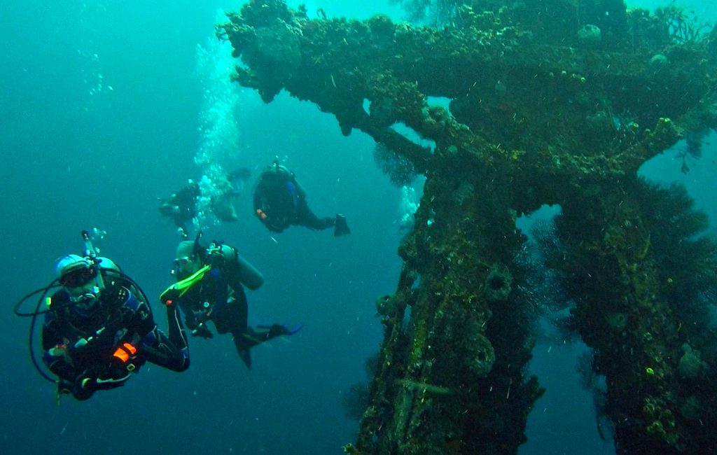 Top Dive Sites in Barbados – According to a PADI Pro