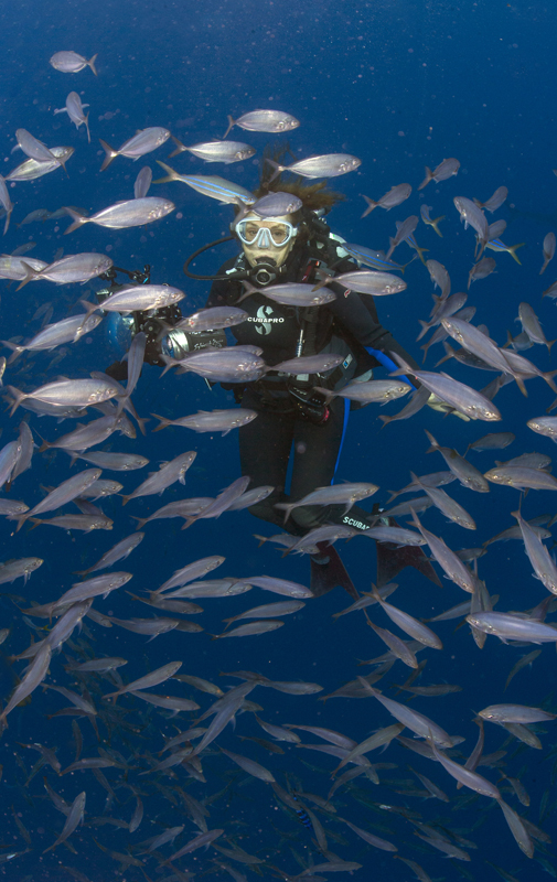 Sylvia Earle