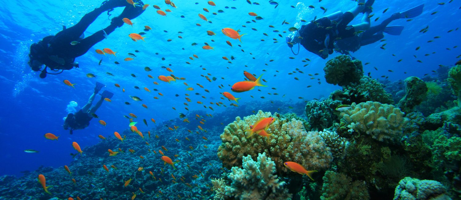 Family Vacation Travel Tips for Scuba Divers