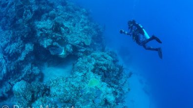 Kristen Favorito Inspiring PADI Women contest