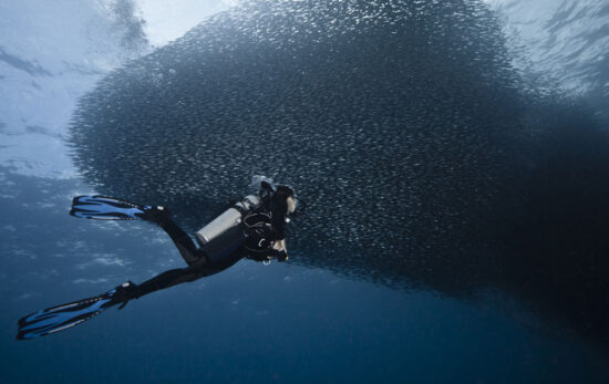 diver diving one of the top scuba diving destinations for june