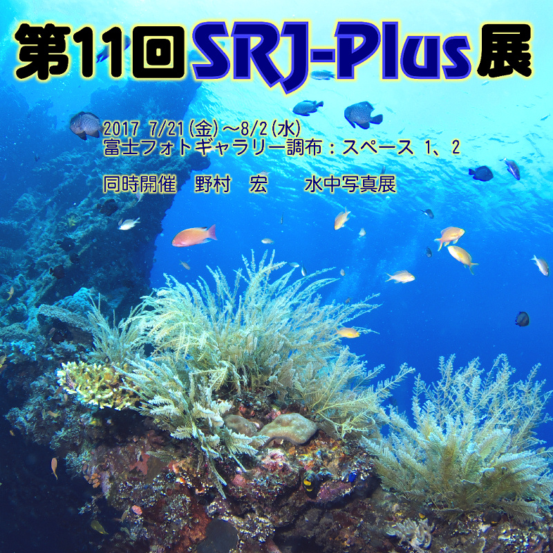 水中写真グループ展「SRJ-Plus展」 7月21日（金）より開催！