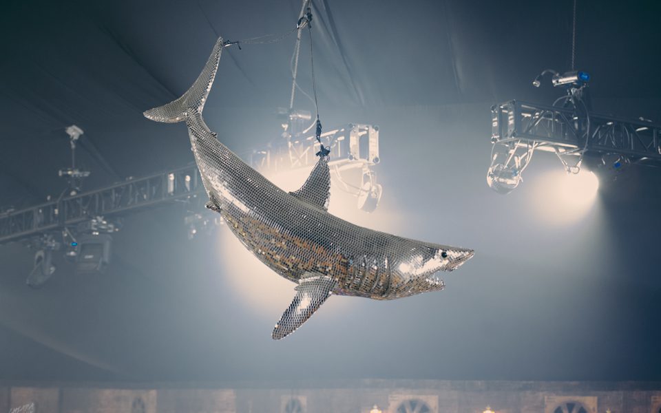 Interview with DiscoShark creator, Kevin McHugh