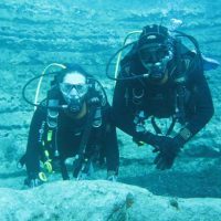 PADI Professionals