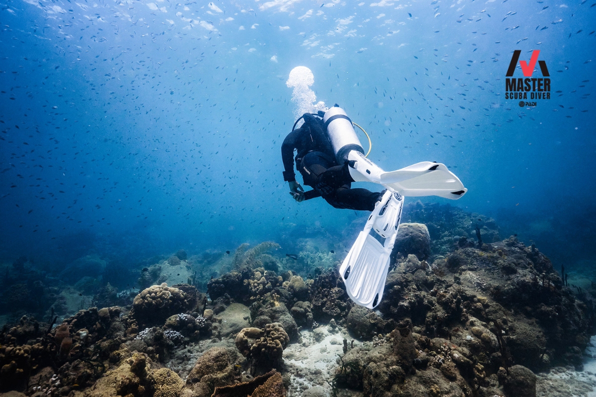 Back view of a scuba diver exploring the underwater world.