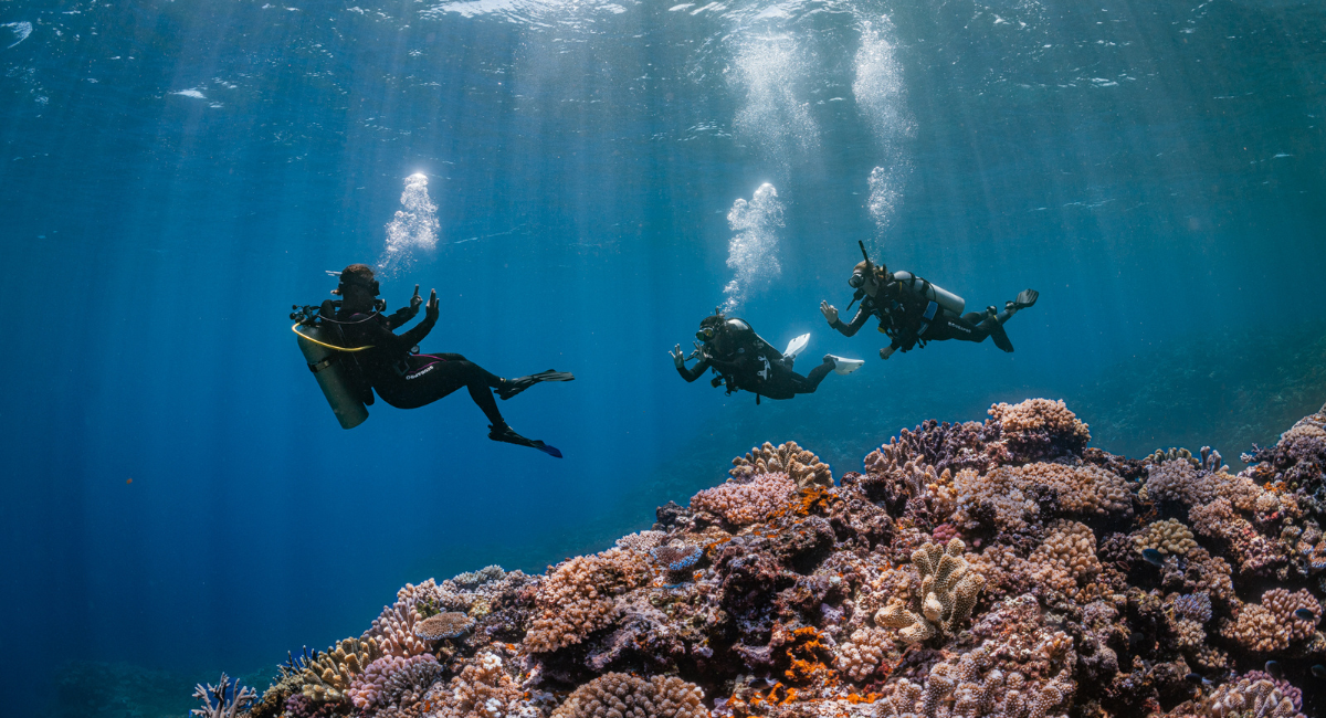 My PADI Story: 12 Year Old PADI Junior Master Scuba Diver Elyse Sakelaropoulos