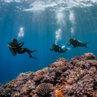 Scuba divers starting a dive with their instructor.