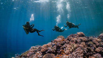 Scuba divers starting a dive with their instructor.