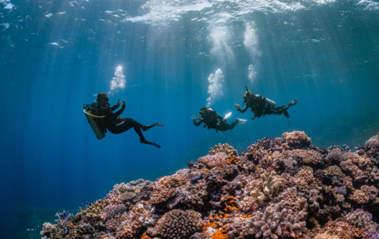 Scuba divers starting a dive with their instructor.