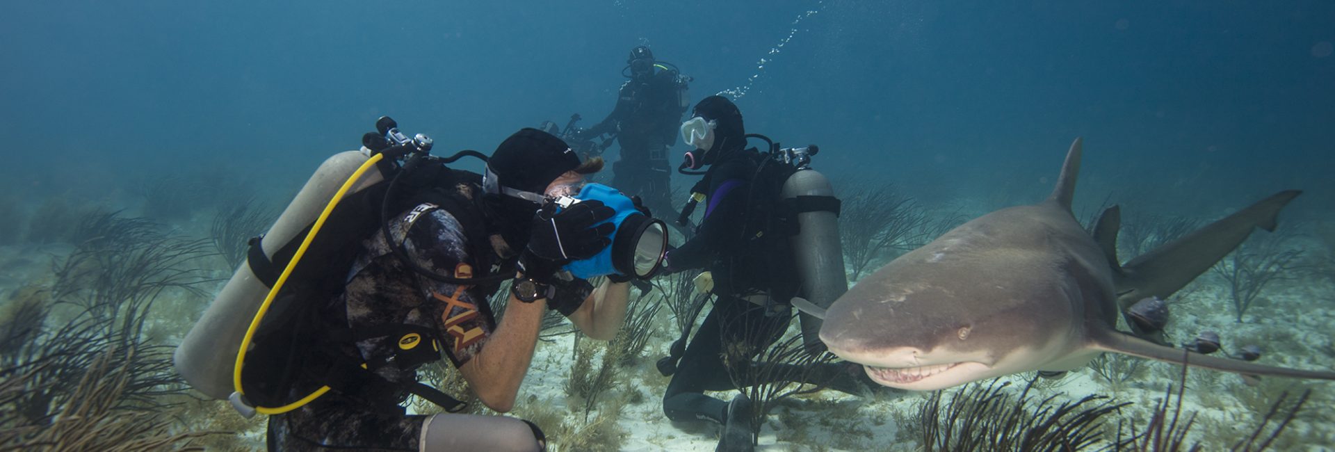 Shark Attack Survivor and Shark Advocate Mike Coots
