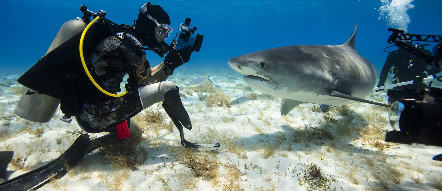Mike Coots’ Top 5 Tips for Shark Photography