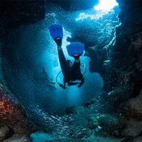 Underwater world