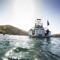 Vertigo and Vomiting while diving