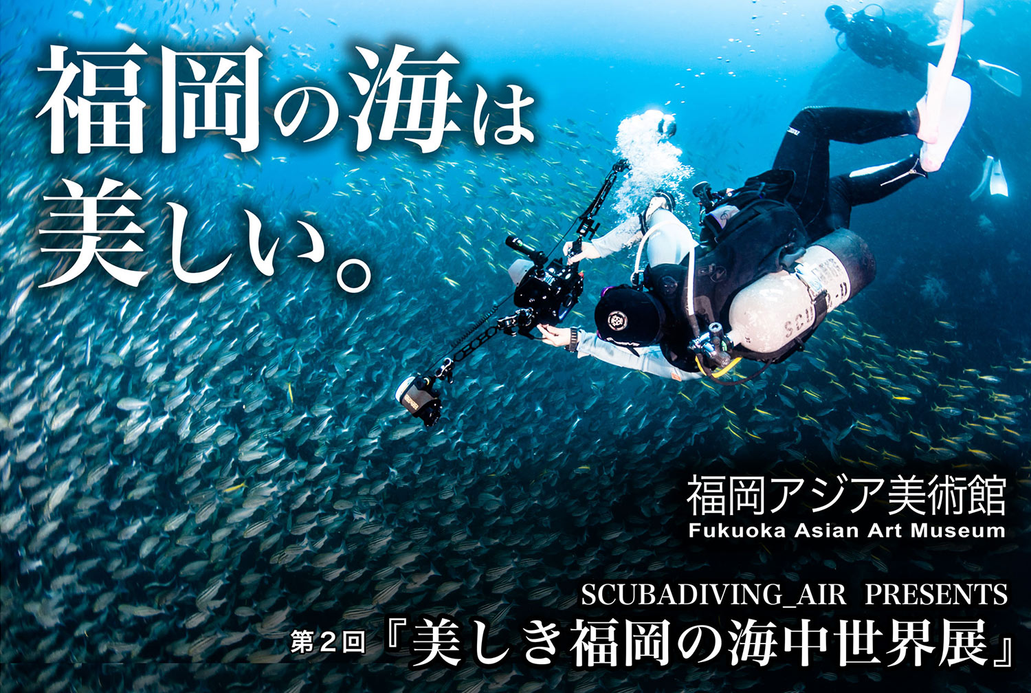 第2回「美しき福岡の海中世界展」 福岡アジア美術館で開催！