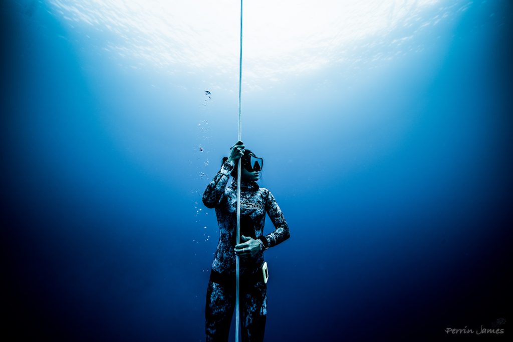 Freediving in Hawaii Photo: Perrin James