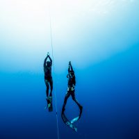 Freediving in Hawaii Photo: Perrin James