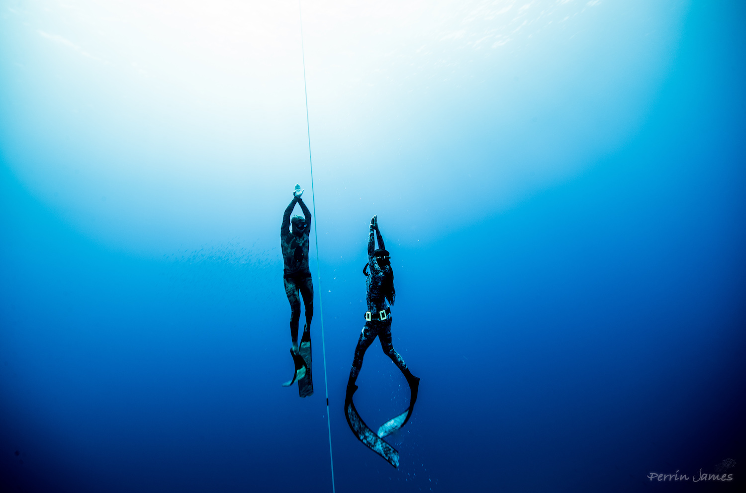 Freediving in Hawaii Photo: Perrin James