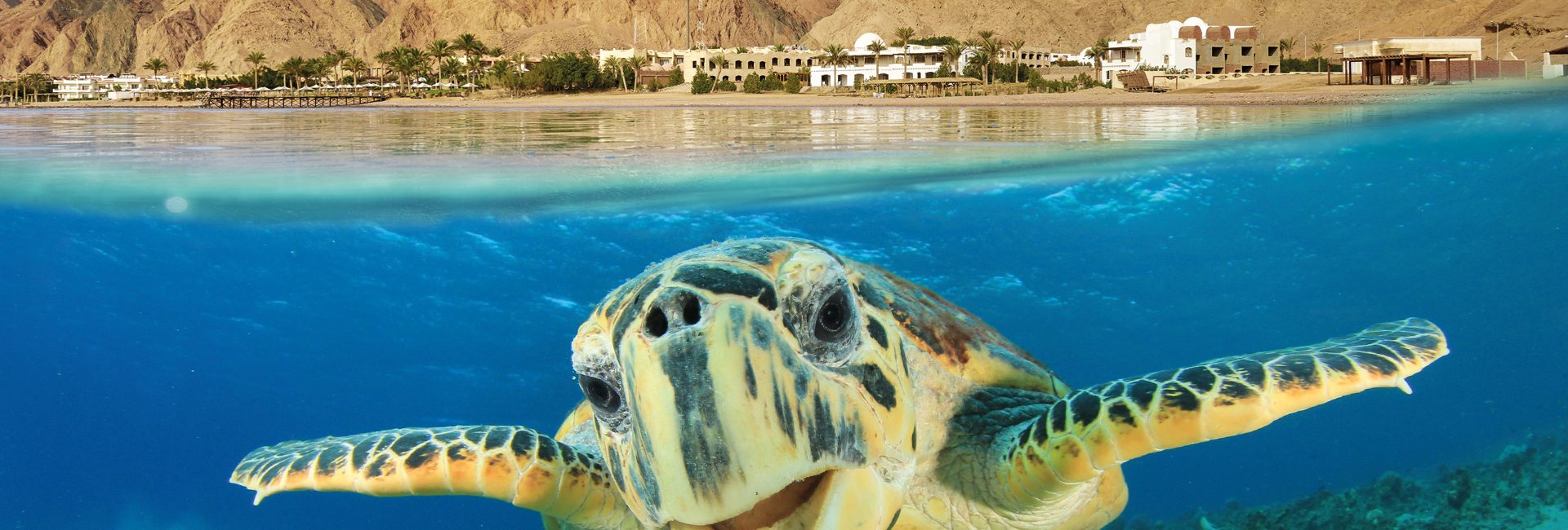 Egypte en de Rode Zee