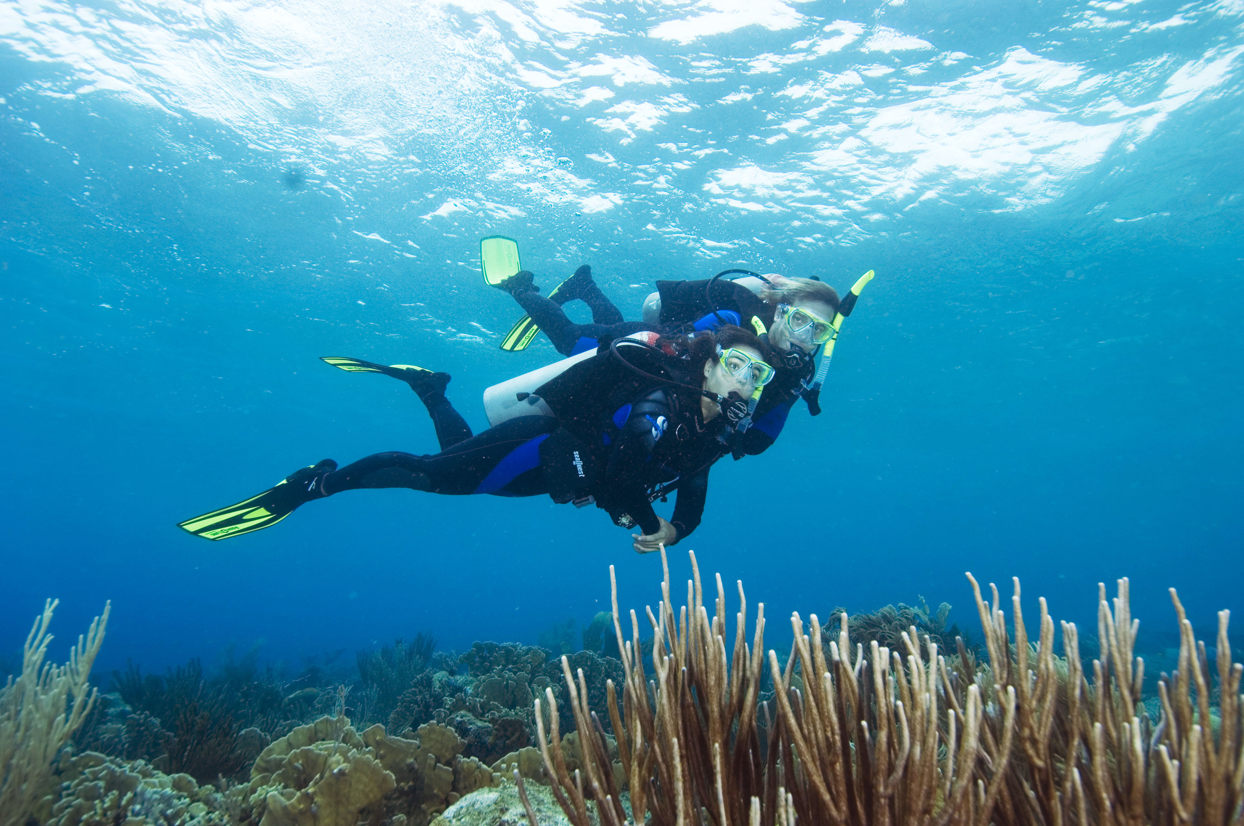 Diving Tips - What You Must Know About Diving 1