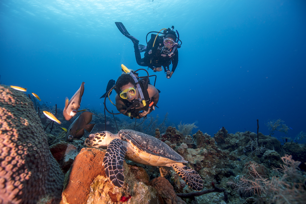 two scuba divers in grand cayman looking at a turtle