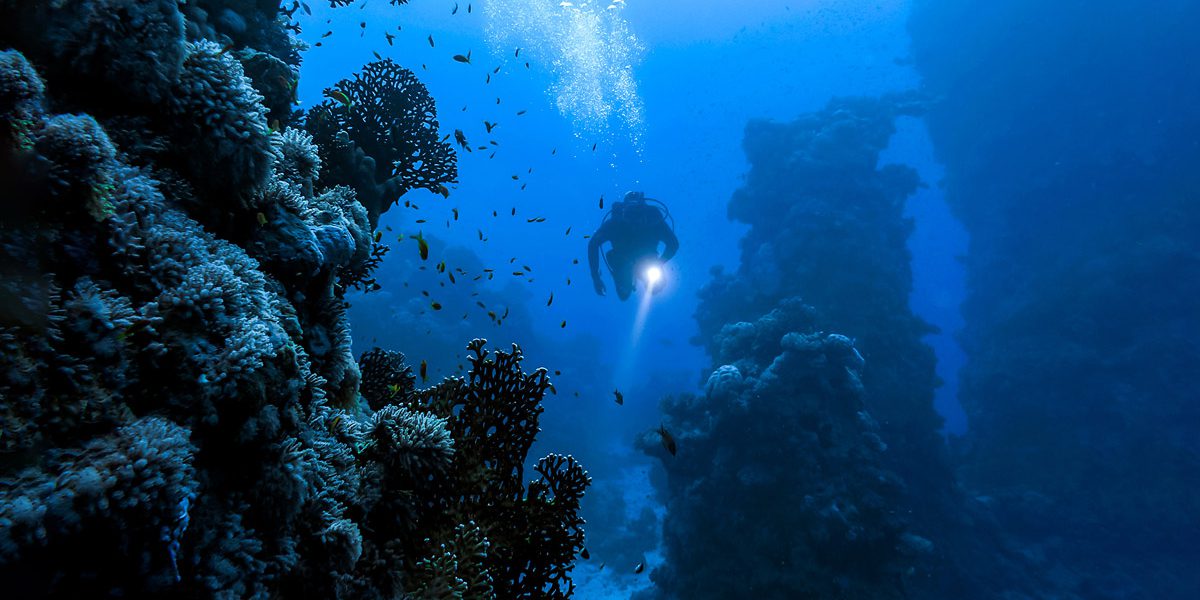 PADI RNLI Diver Sea Survival-cursus