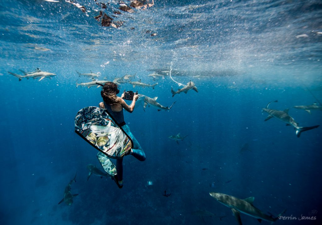 Tears of a Mermaid - On Location: Tigress Tiger Shark Shoot, The Bahamas  on Vimeo