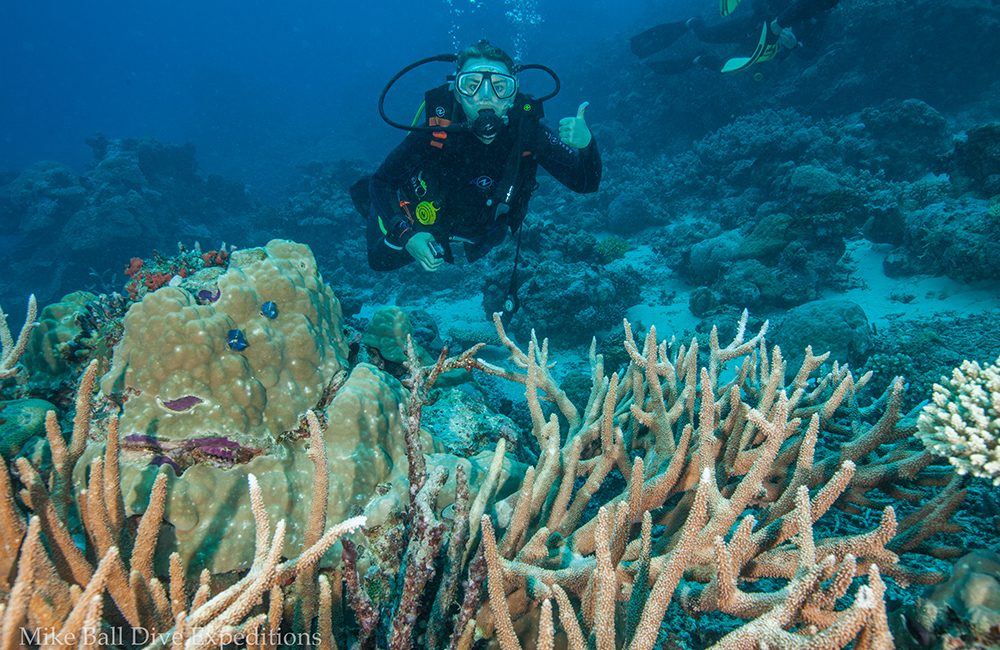 Trip of a Lifetime to the Great Barrier Reef Doesn’t Disappoint
