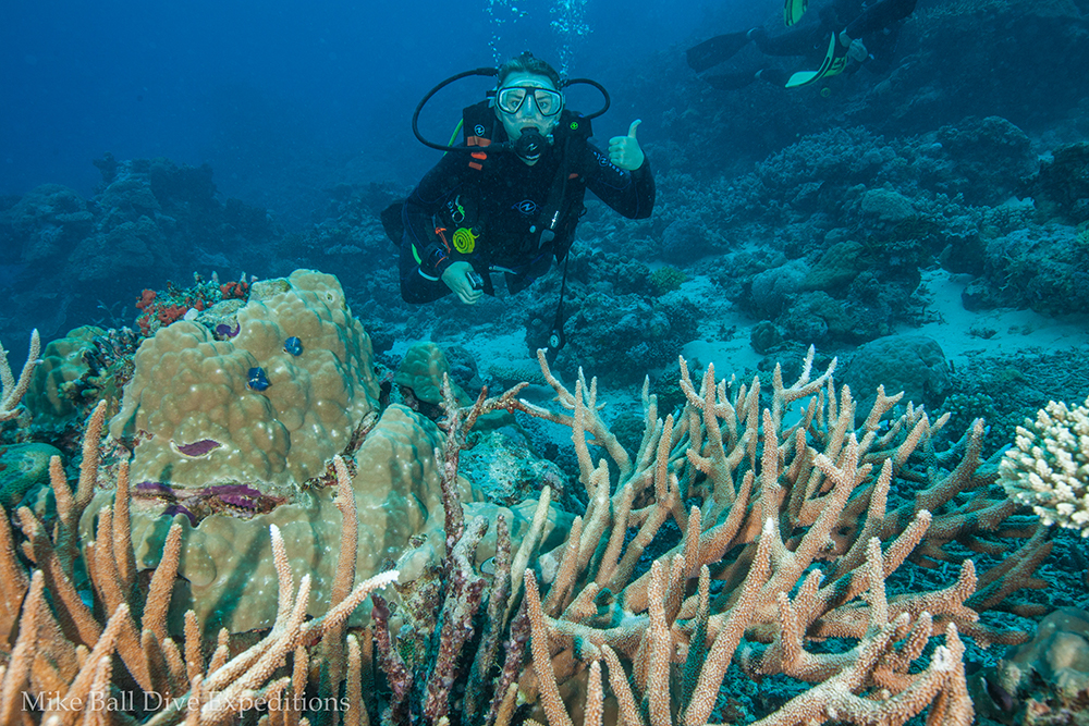 Trip of a Lifetime to Great Barrier Reef Doesn't Dissappoint