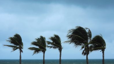 hurricane relief