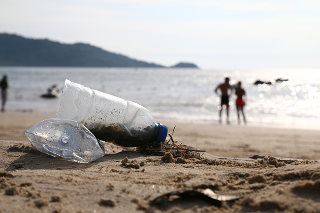 Coastal Clean-up