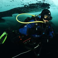 Dive the North Pole