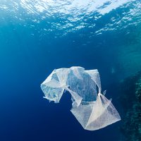 Fighting for our oceans